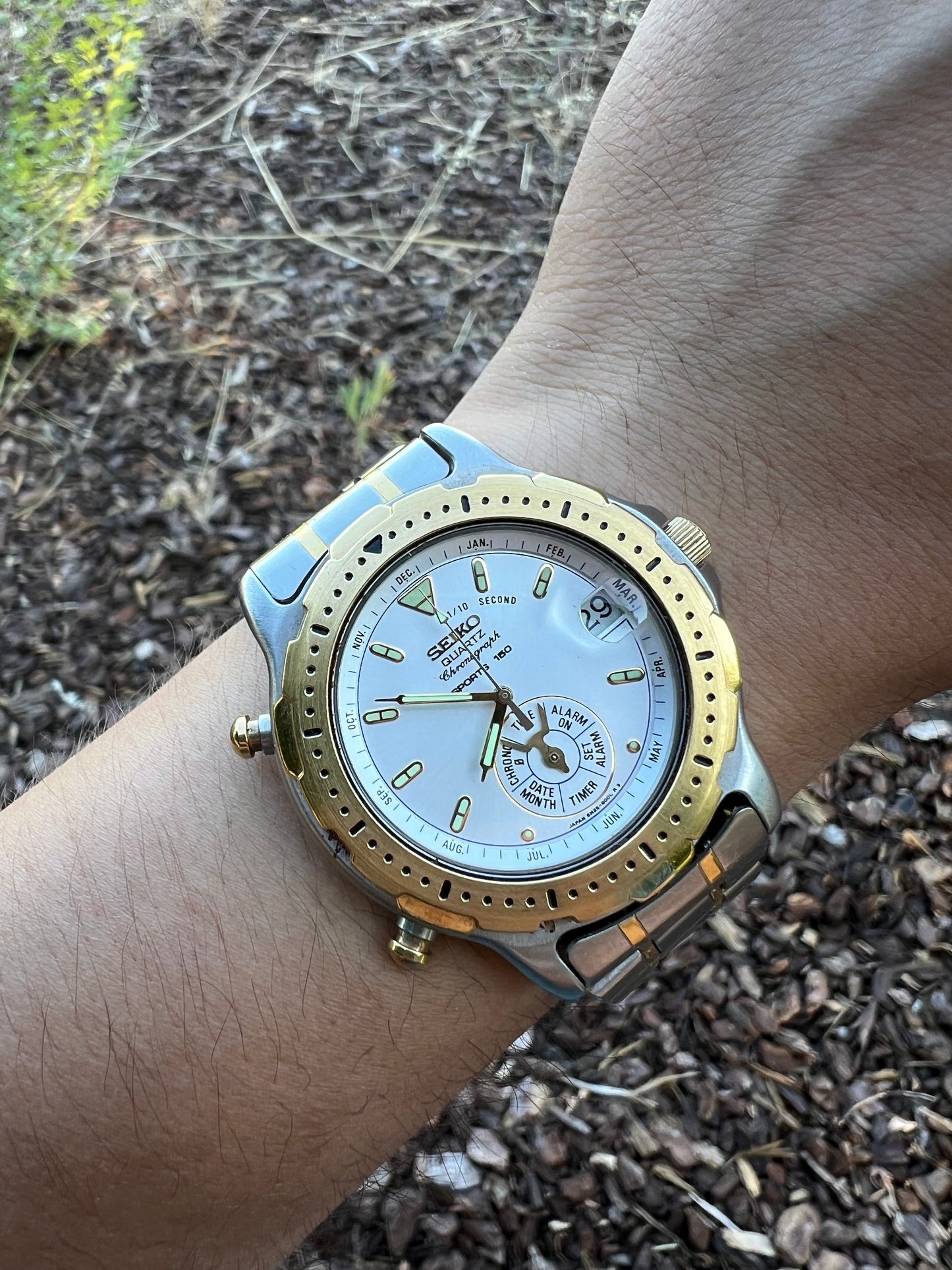 Seiko Raro