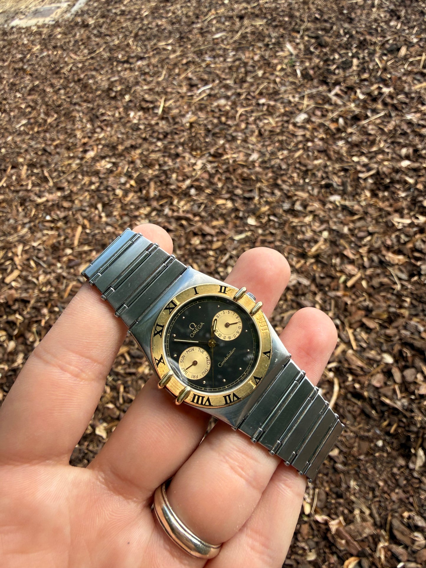 Omega Manhattan