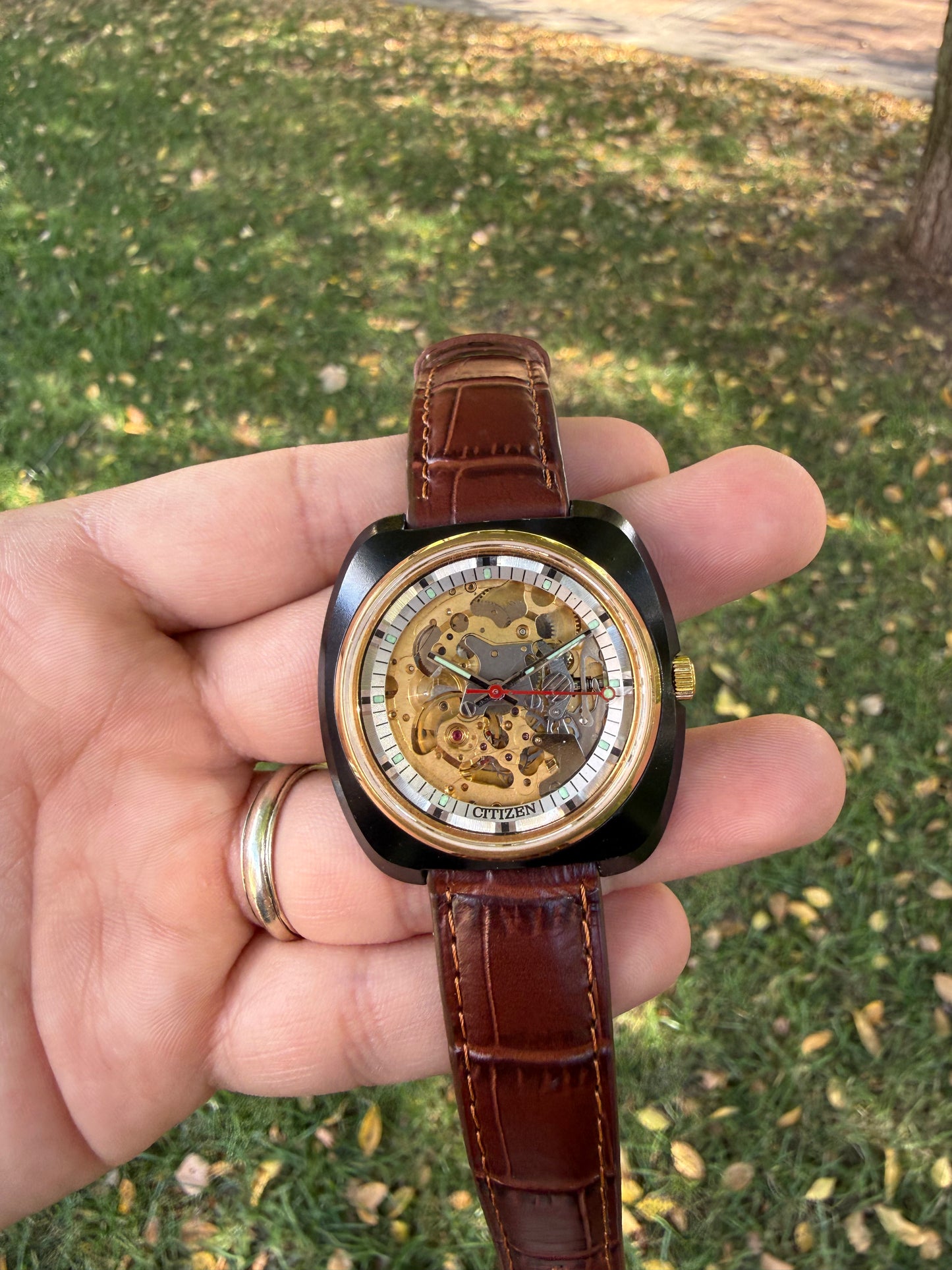 Citizen Skeleton vintage