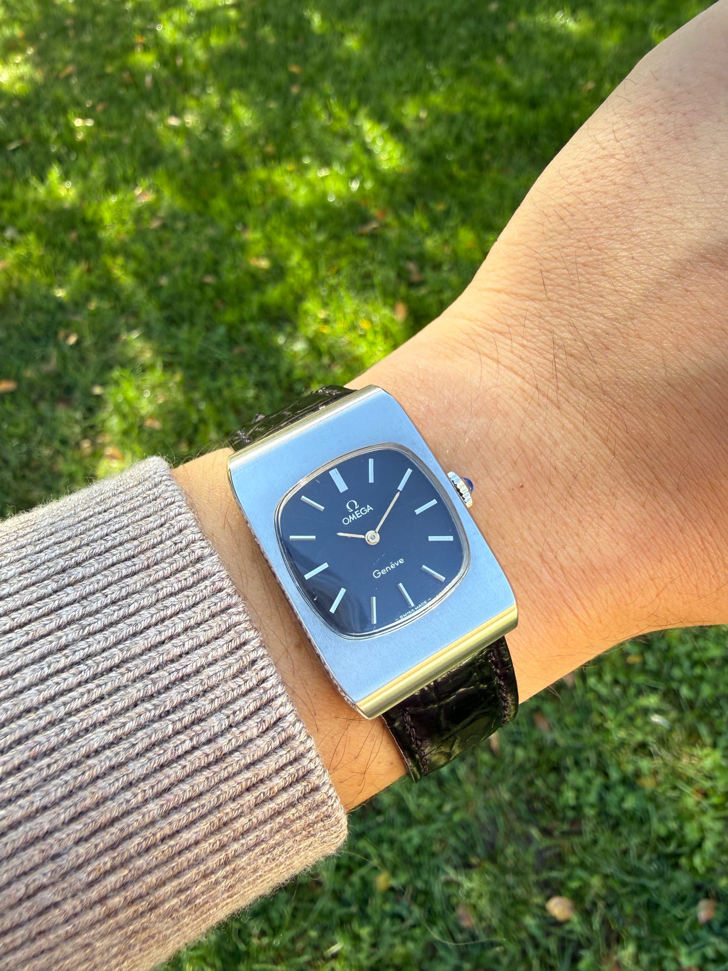 Omega Tank