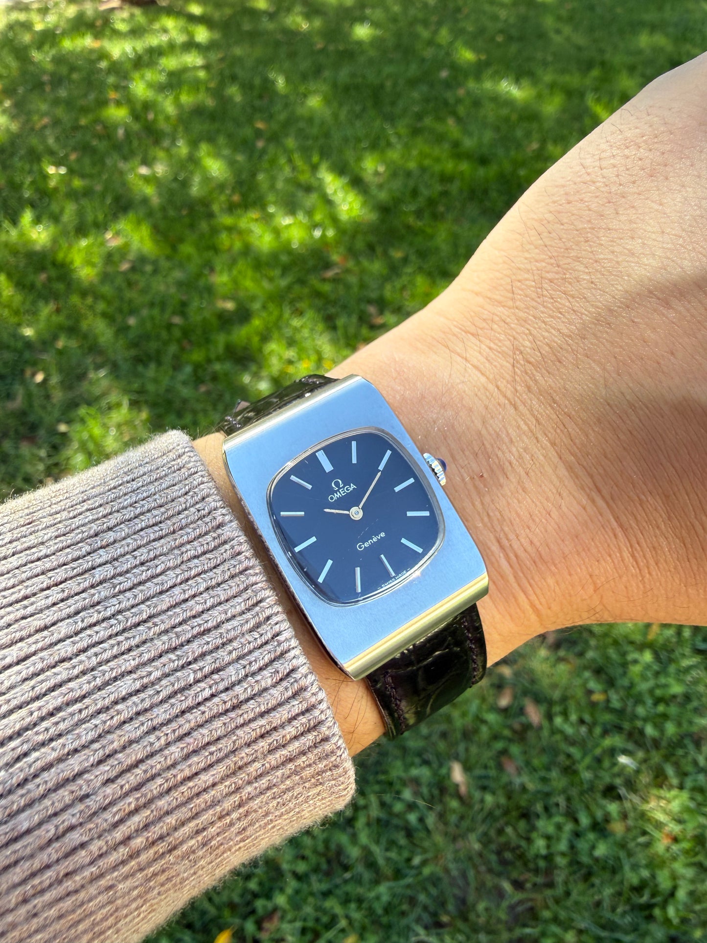 Omega Tank