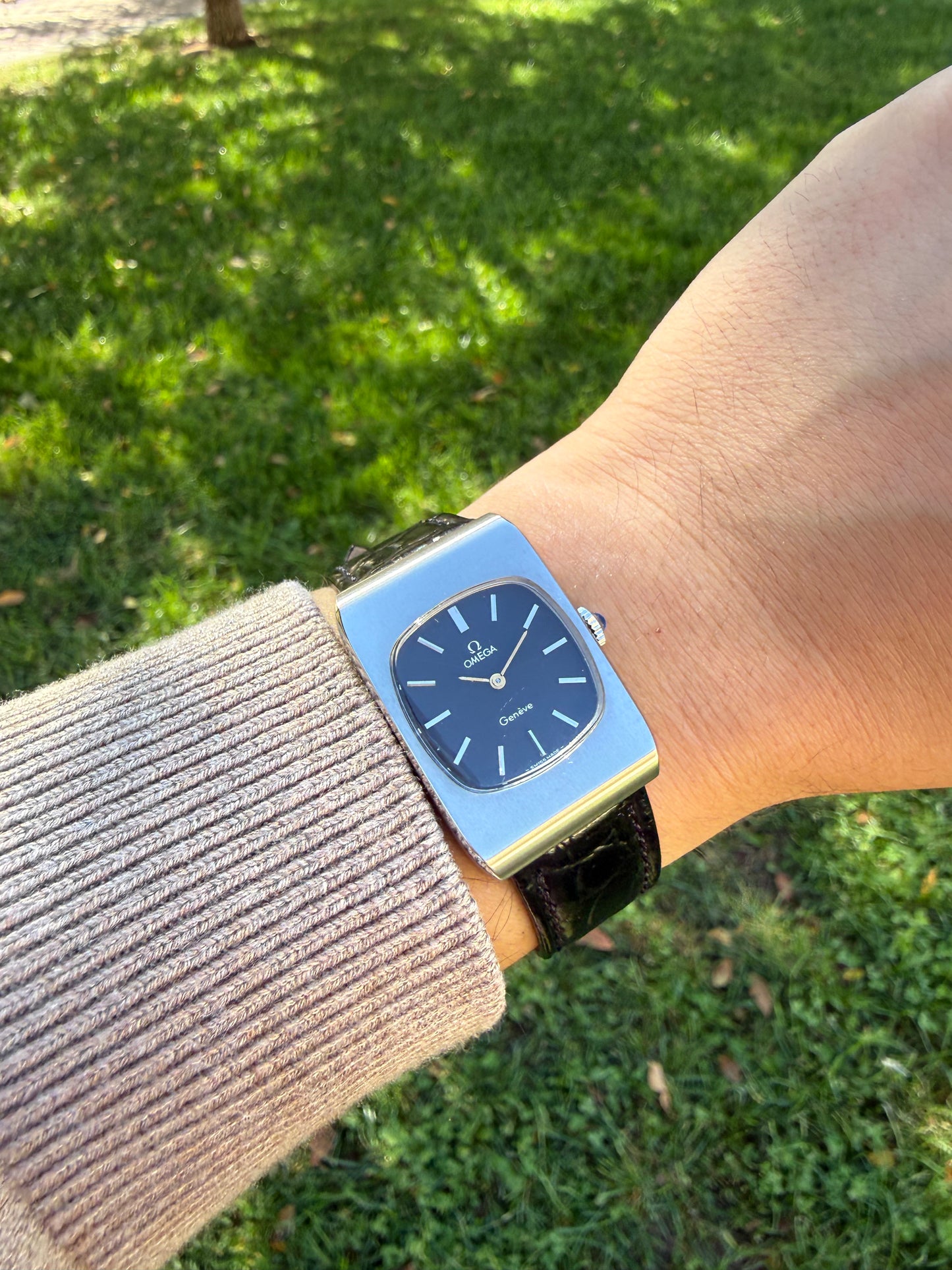 Omega Tank