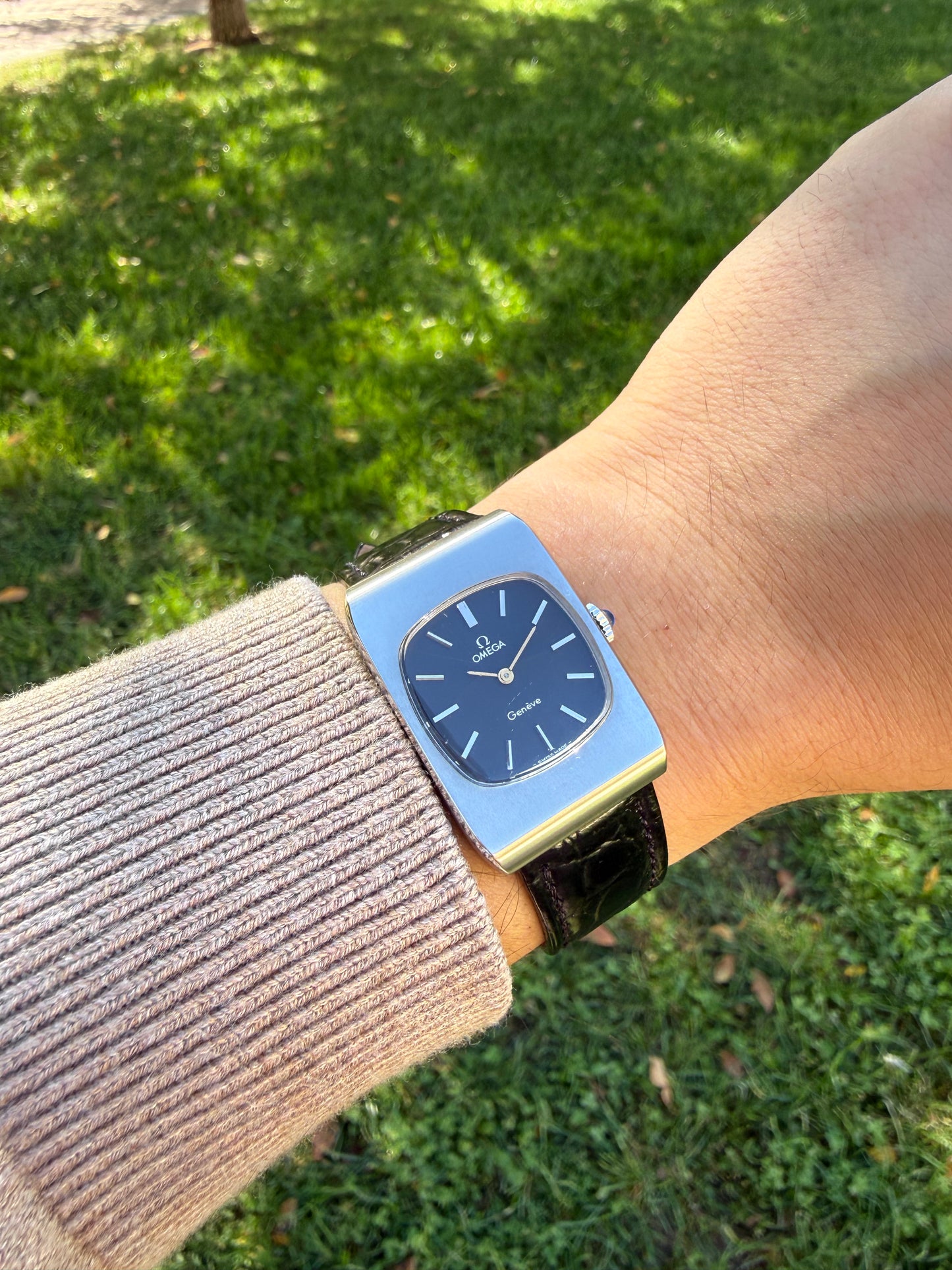 Omega Tank