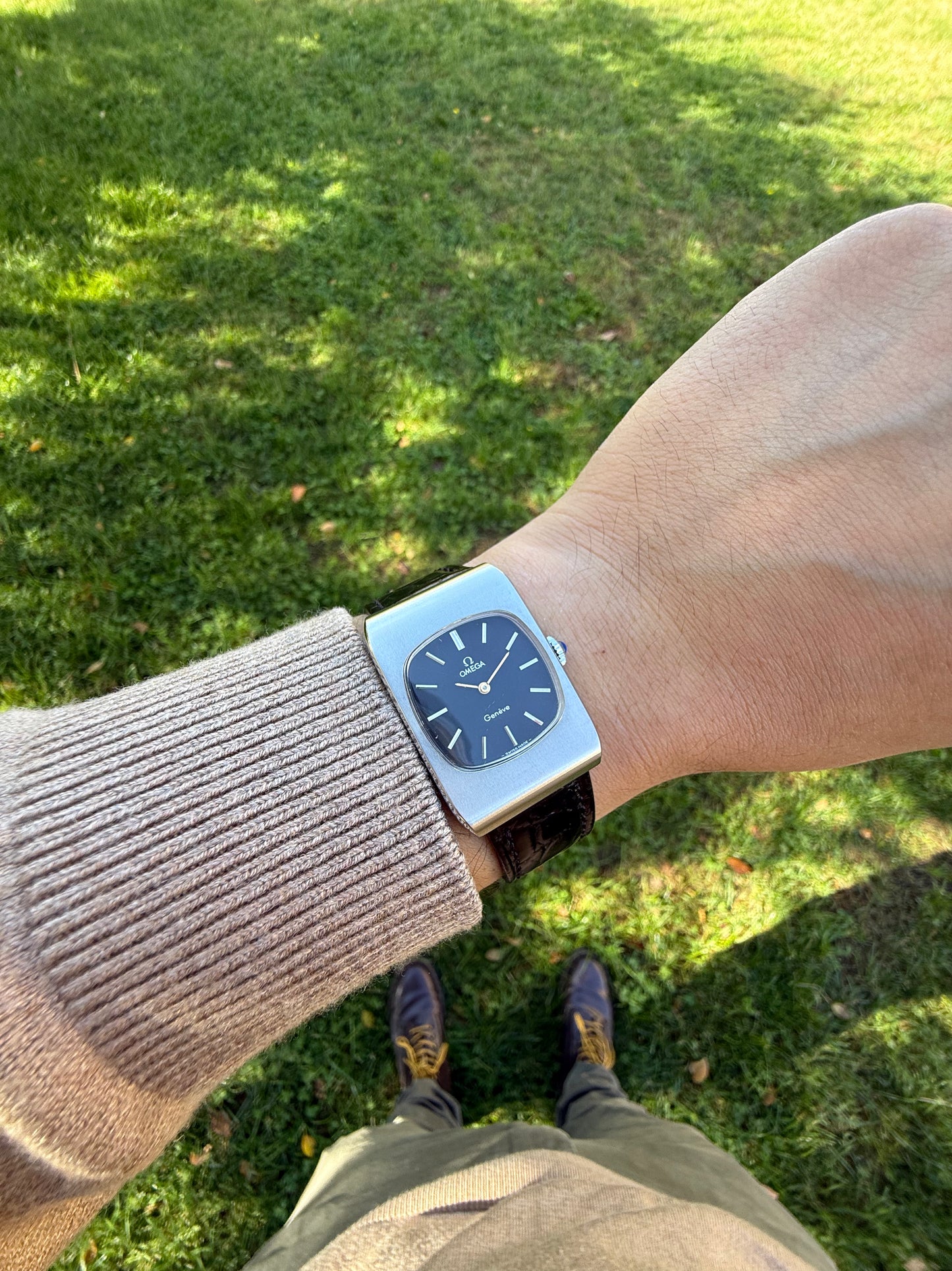 Omega Tank