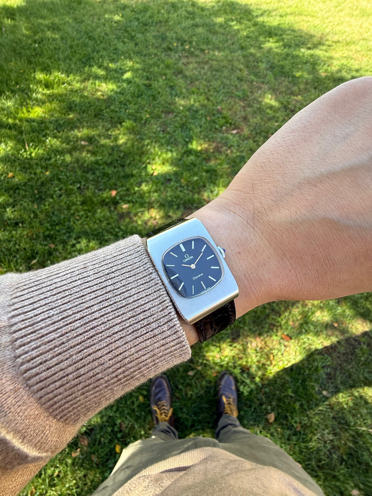 Omega Tank