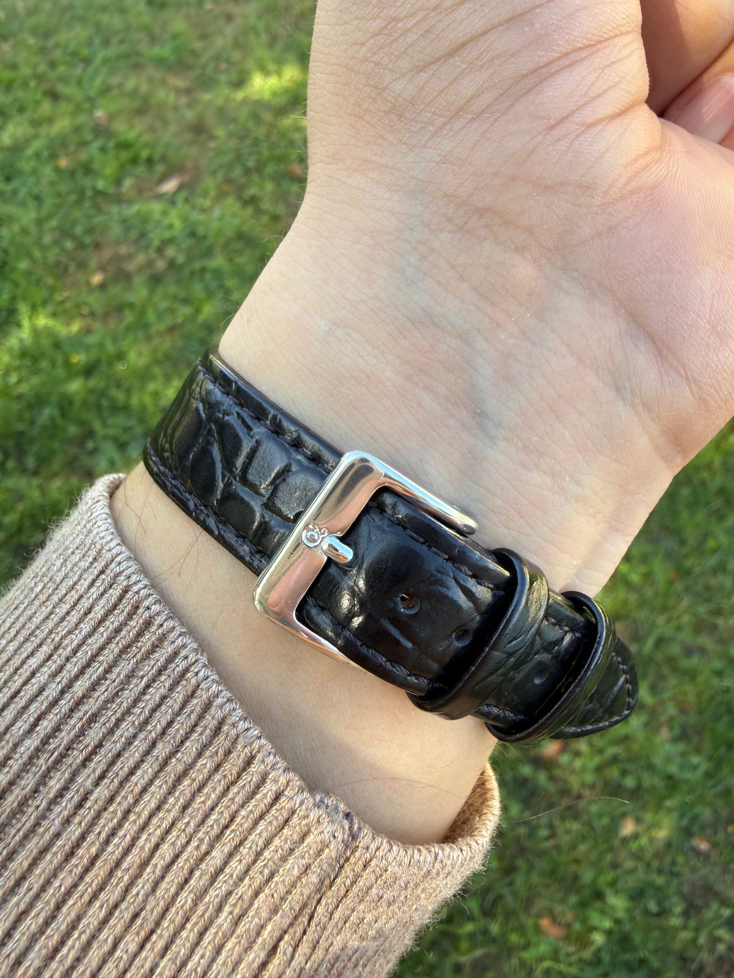 Rado Diastar Silver