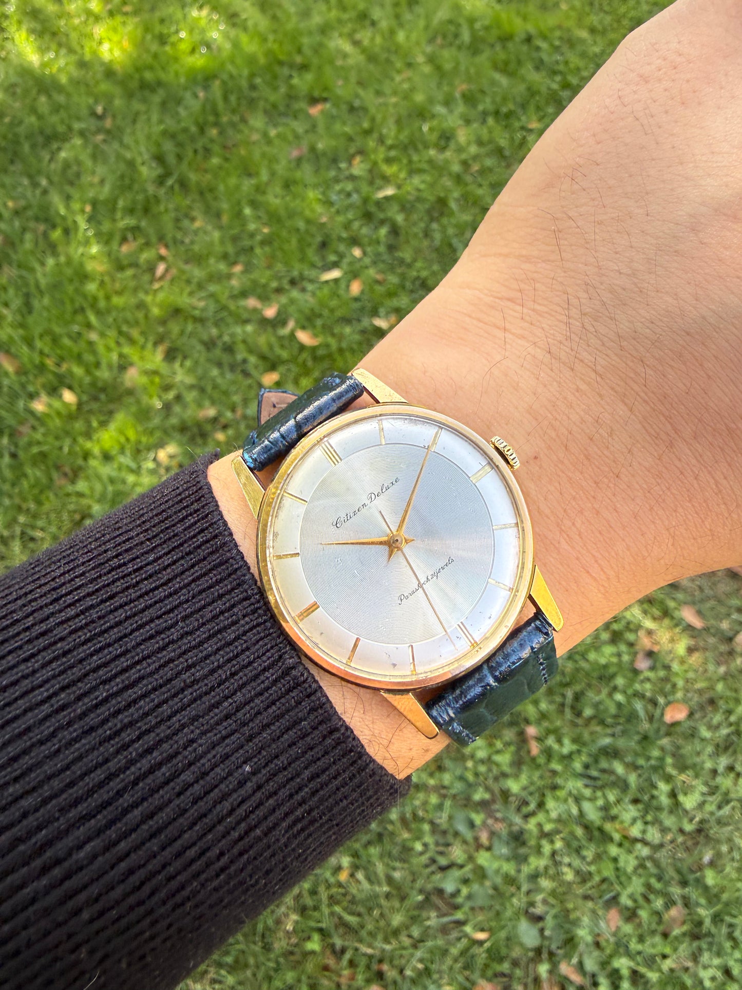 Citizen Deluxe