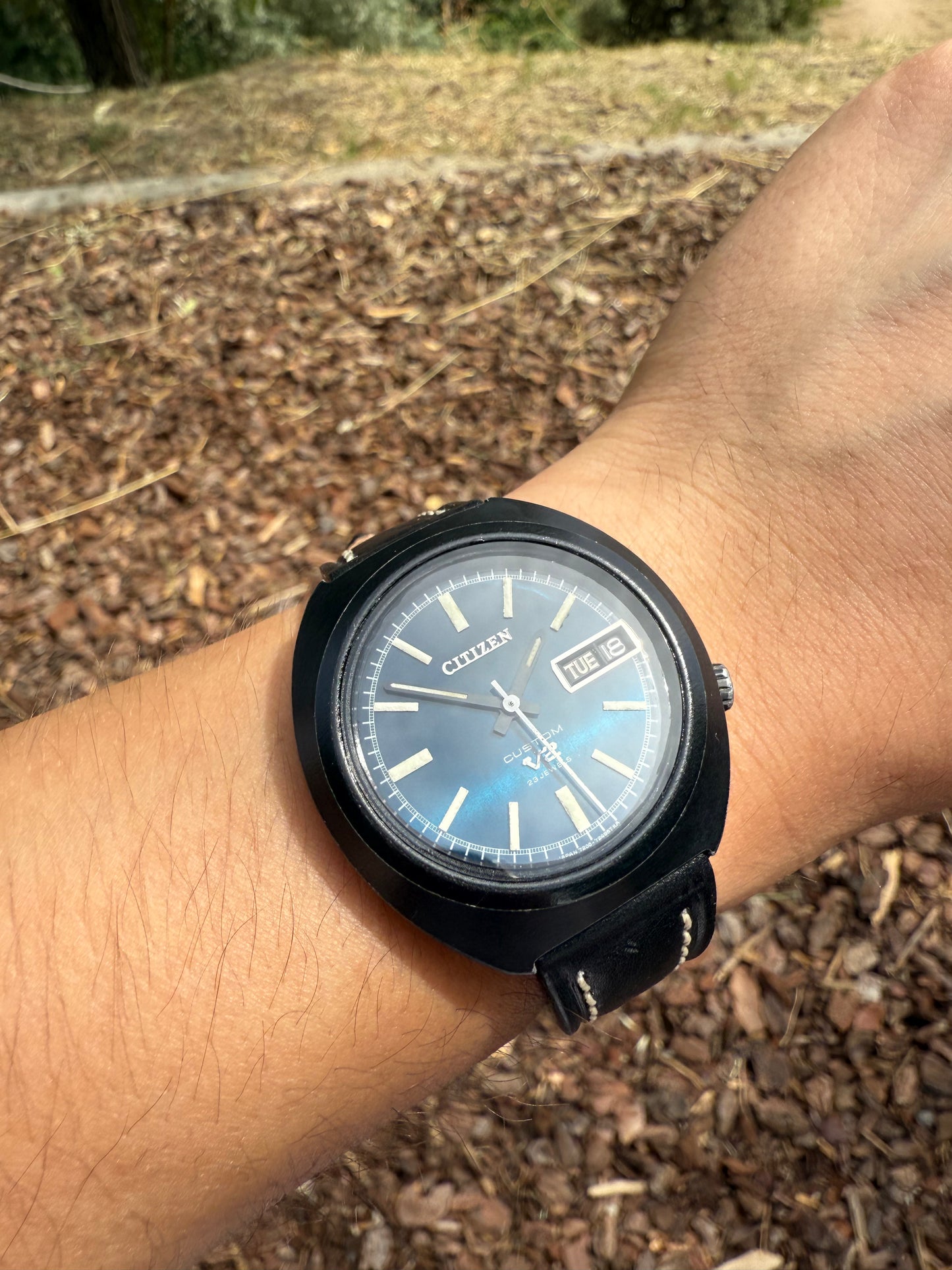 Citizen Custom V2