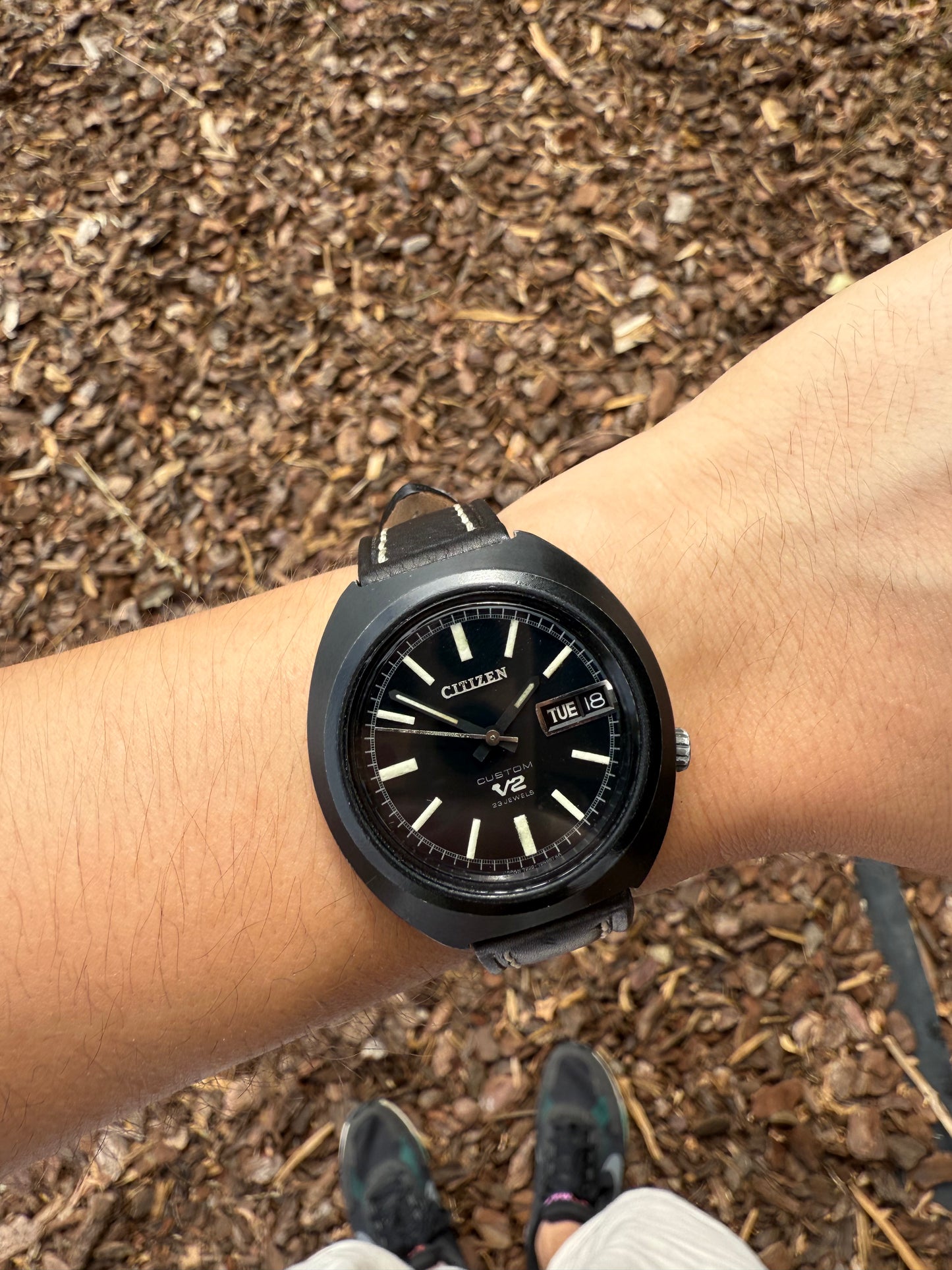 Citizen Custom V2
