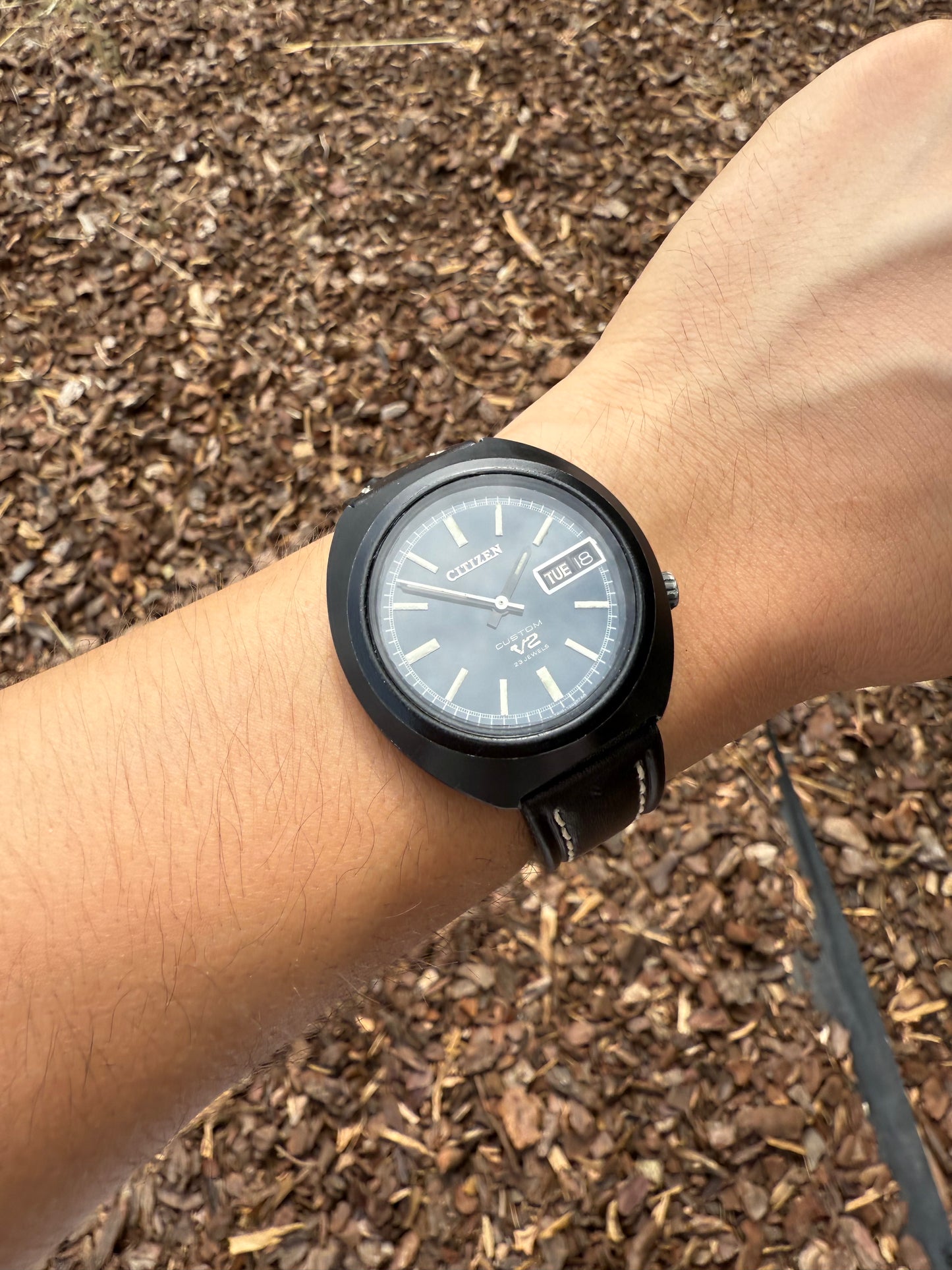 Citizen Custom V2