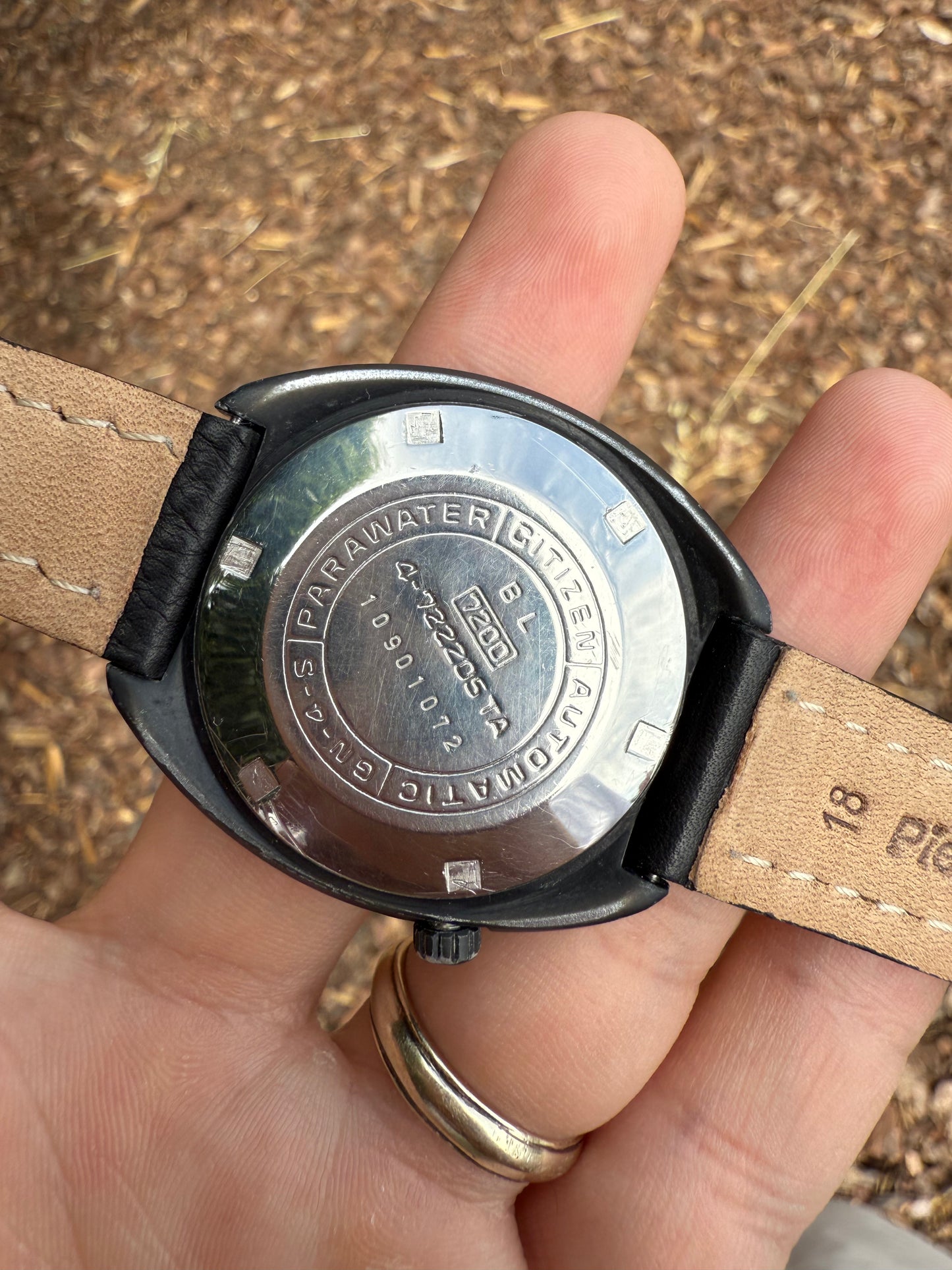 Citizen Custom V2