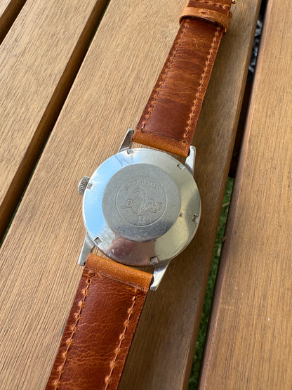Omega Seamaster