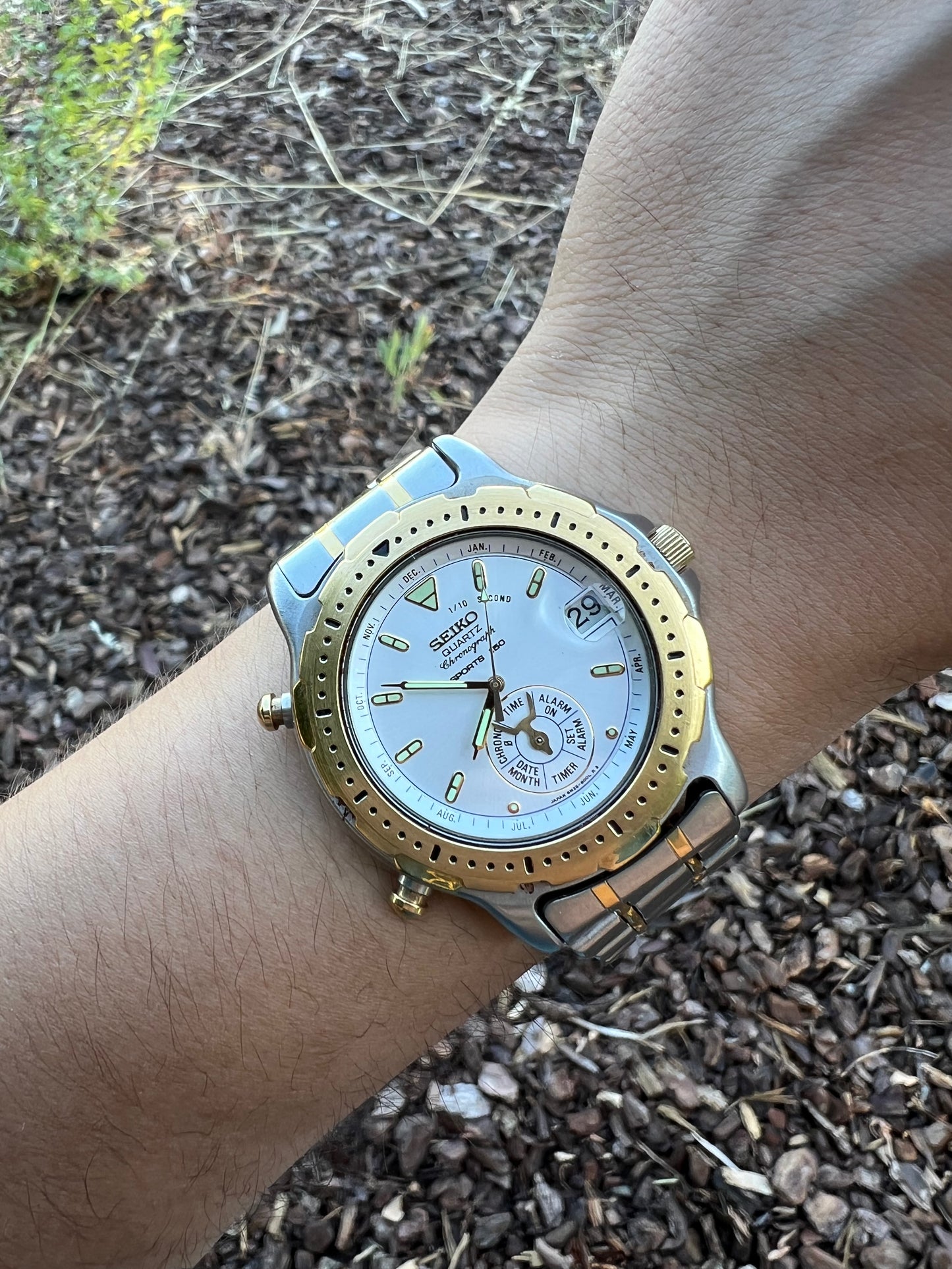 Seiko Raro