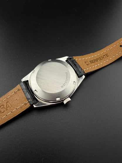 Omega Geneve Silver